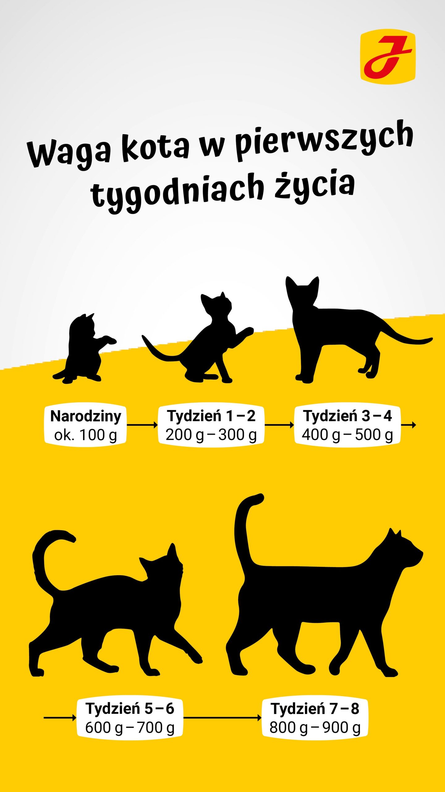 Czy trzeba to dobra karma dla kota?