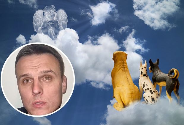 Czy zwierzęta też idą do nieba?
