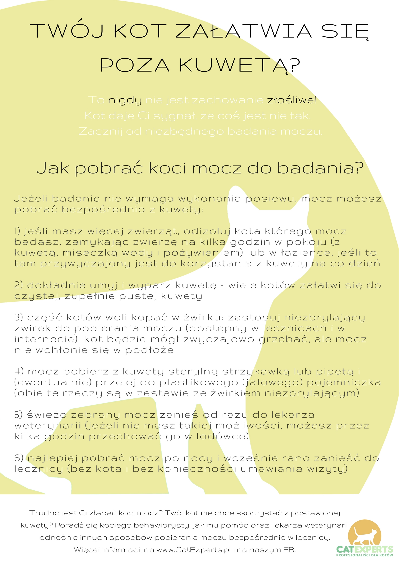 Dlaczego kot nie chce się zalatwic?