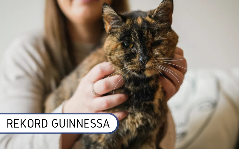 Ile lat ma najdluzej zyjacy kot?