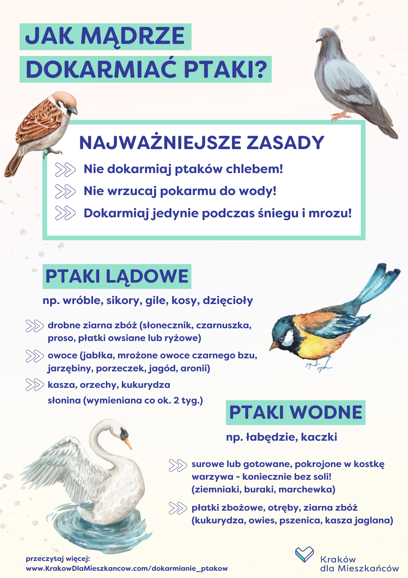 Jak karmić dzikiego ptaka?