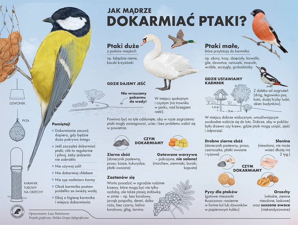 Jak można dokarmiać zwierzęta zimą?