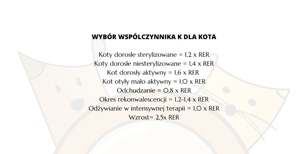 Jak obliczyć RER dla kota?