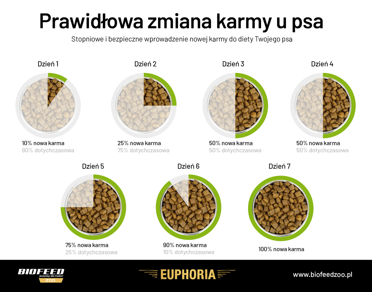 Jak wprowadzić mokra karmę?