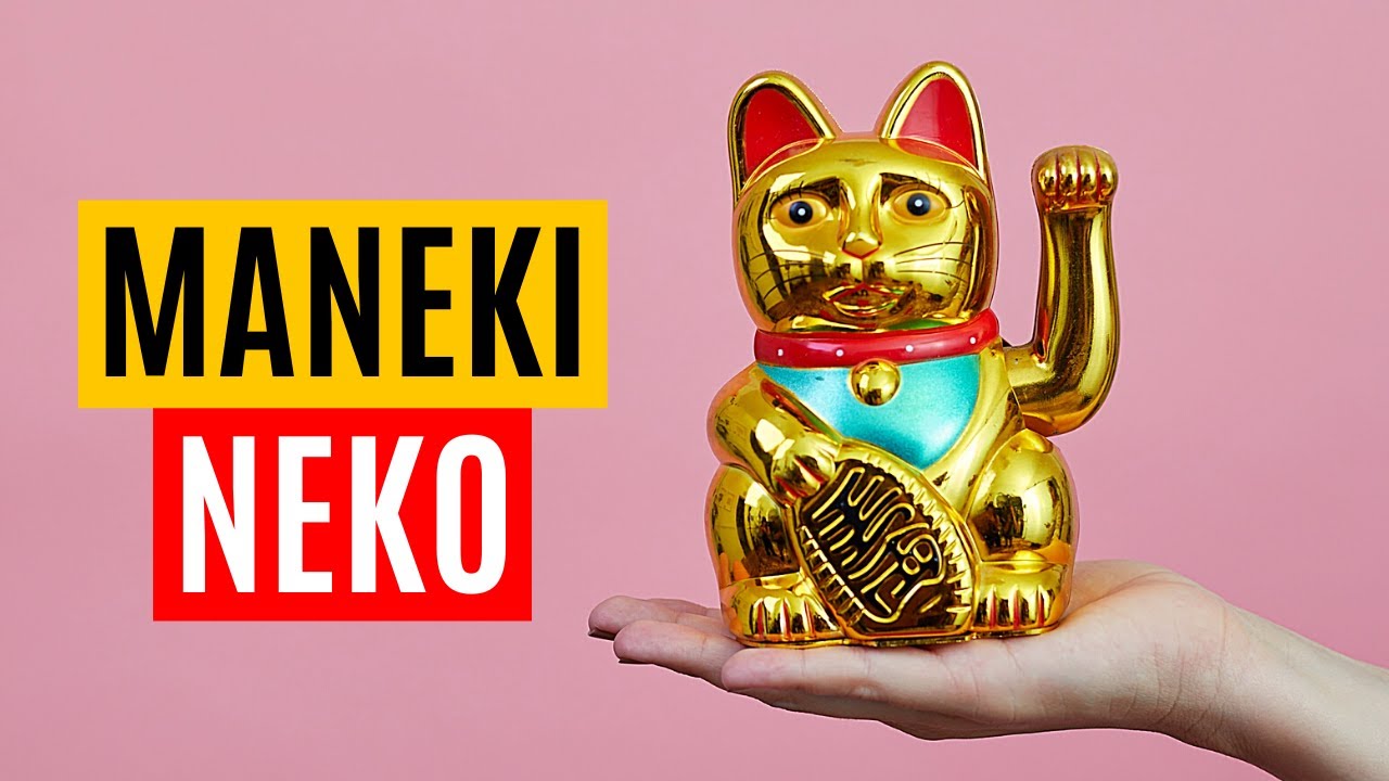 Co oznacza Chiński kot?