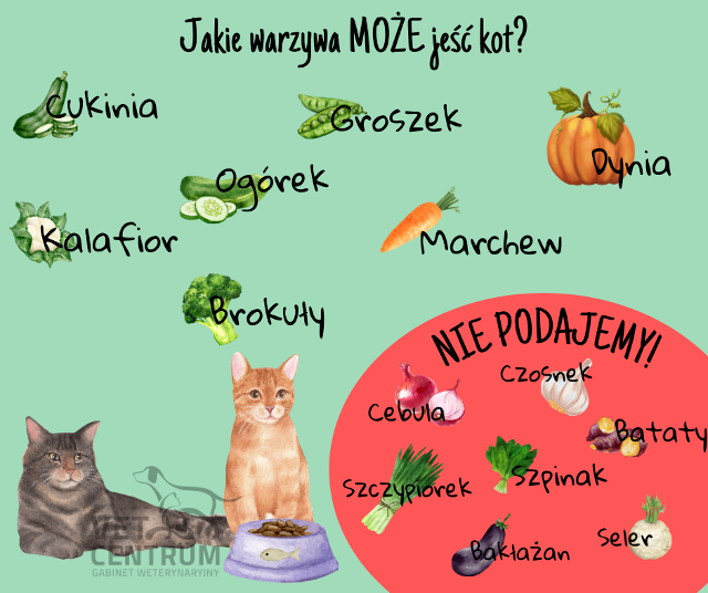 Czy kot trawi warzywa?