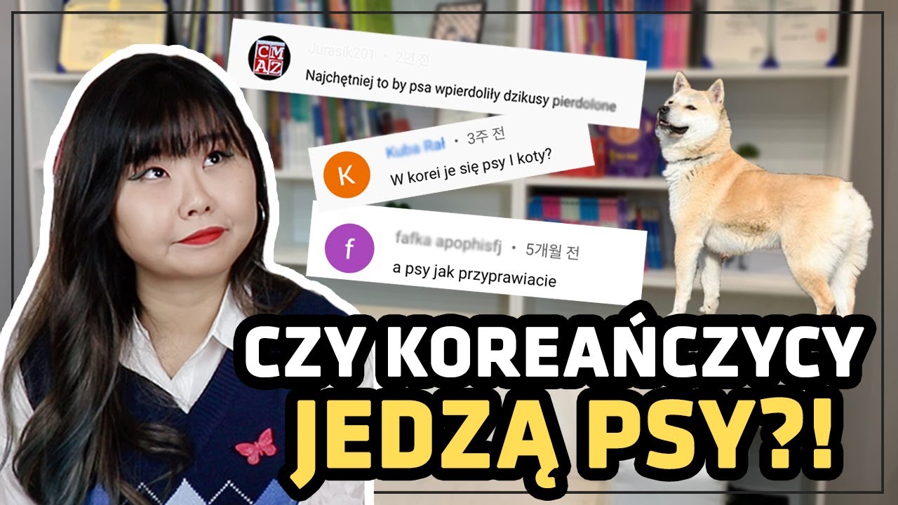 Czy w Korei je się psy?