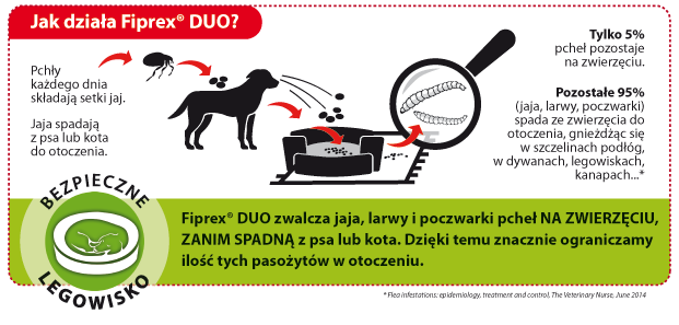 Jak działają krople fiprex?