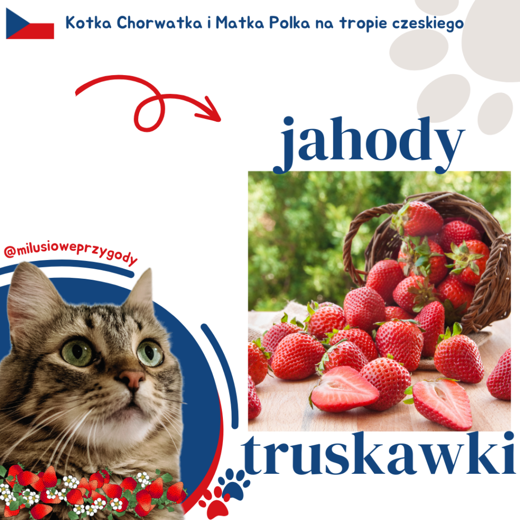 Jak po czesku są truskawki?
