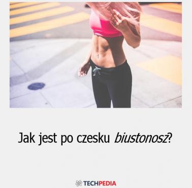 Jak po czesku stanik?